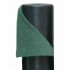 Amazon green