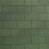 Amazon Green