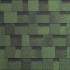 Amazon Green