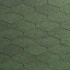 Amazon Green