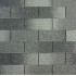 Eastern Grey